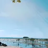 zabjann15
