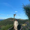 phukienxemayco