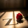 userzimal.qureshi980