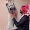 فواز المصعبي مربط الحزم💎