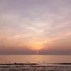 tuehai9