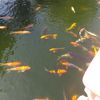 nguyenanh1102_0710