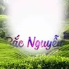 bacnguyen778