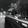 nudy_lonely