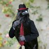alldemcrows