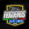flogueiros_da_br102