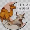 muhammad.virli0