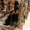 ayeshaayesha482