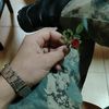 ilkin_244_