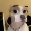 creziox