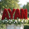_a_y_a_n_78
