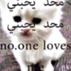 usershzmjshl4y