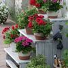 waleed4515904404887