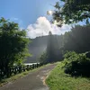 tonvu19890