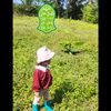 nor_arifin25