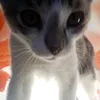 aliska_582