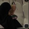 mt_a23