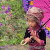 thai_uae