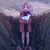 shi_foxs