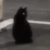 しぅしぅさん