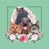 my_unique_petz