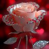 user64207119