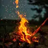 waleedtaqi8