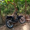 semenbalap21