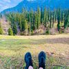 tanisheikh6