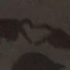 tieuhoathuongg