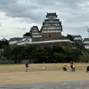 30498788825eden