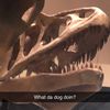 dinocamden