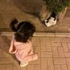 nohaessam11
