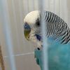 user_632232