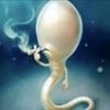 meduelelabarriguita28