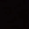 tammo_75