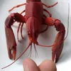 mrlobster0126