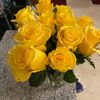 stephy7981