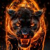 siyah.panter_1