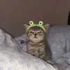ukiyo._7