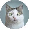 The World of Cats