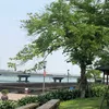 vanvo_789