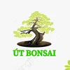 ÚT BONSAI
