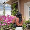 syainanisa