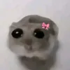 lilyy2345