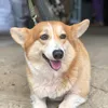 phitruong_20