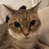 diamond_tsuki