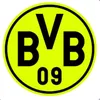 Heja bvb🖤💛