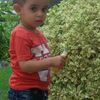 user51499367