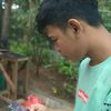 rudisantari